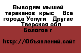 Выводим мышей ,тараканов, крыс. - Все города Услуги » Другие   . Тверская обл.,Бологое г.